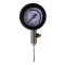Wisely Pressure Gauge